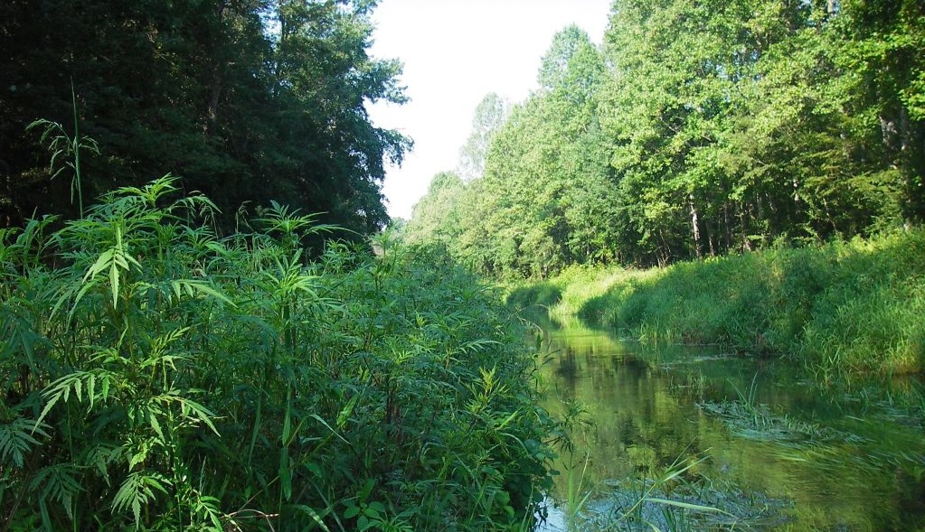 Duane-Loveland_Brecks-Mil-on-Brandywine